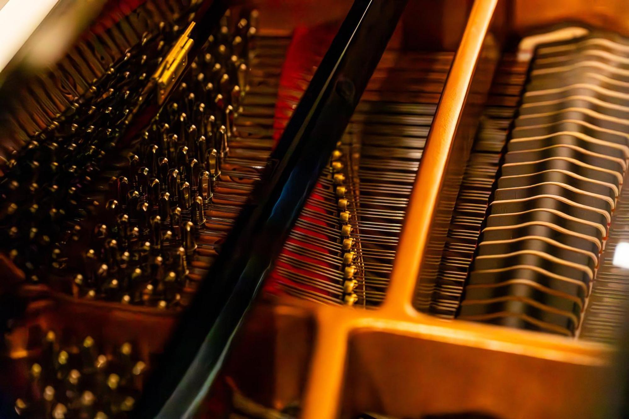 Appartement The Grand Piano *